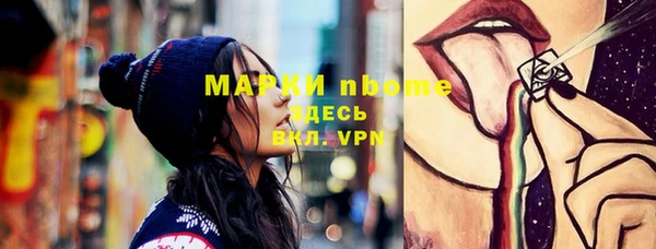 твердый Ленинск