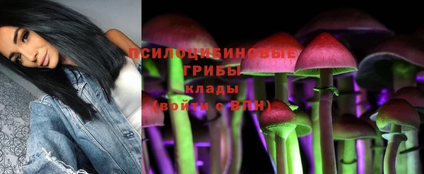 ECSTASY Саяногорск