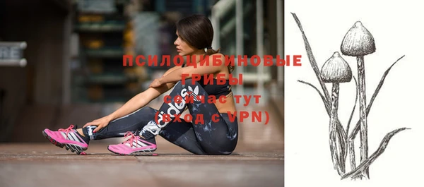 сатива Сафоново