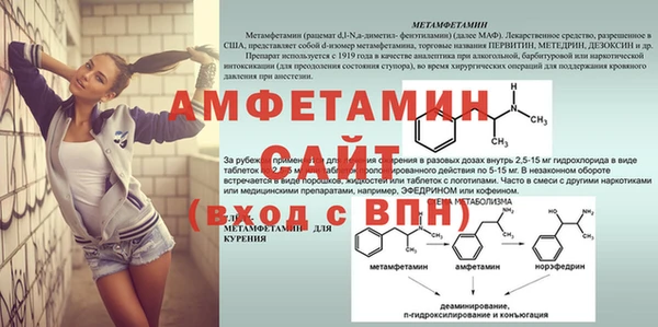 сатива Сафоново